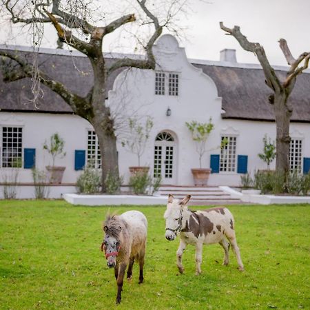San Gabriel Homestead サマーセット・ウェスト エクステリア 写真