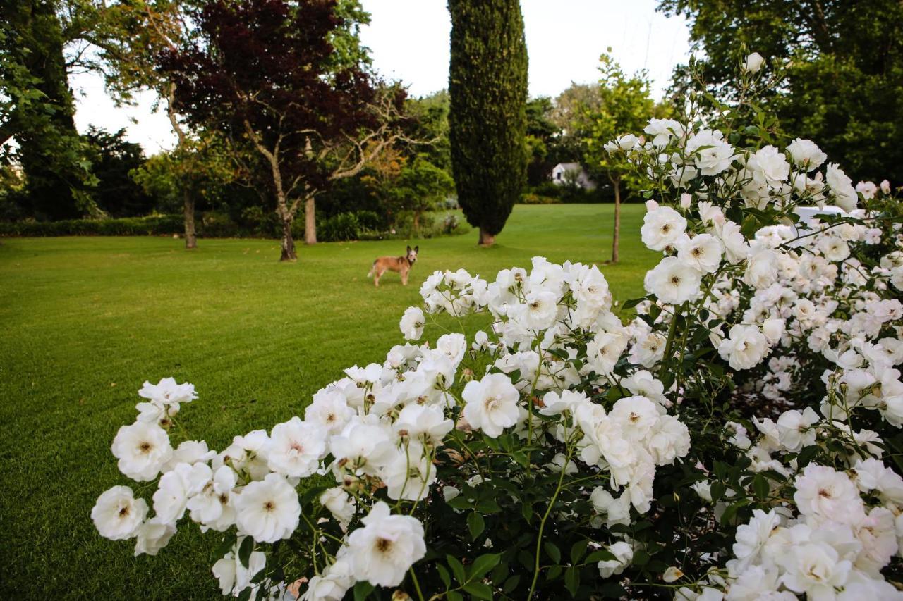 San Gabriel Homestead サマーセット・ウェスト エクステリア 写真