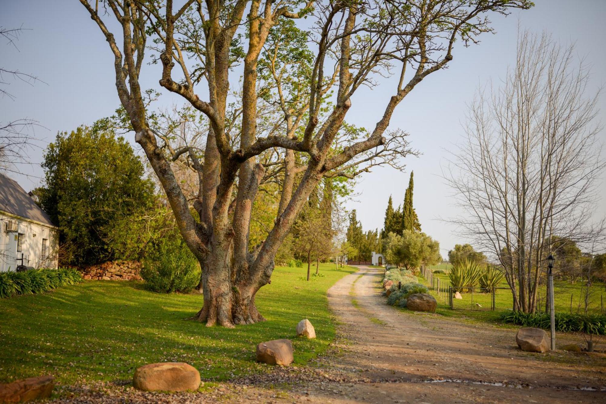 San Gabriel Homestead サマーセット・ウェスト エクステリア 写真