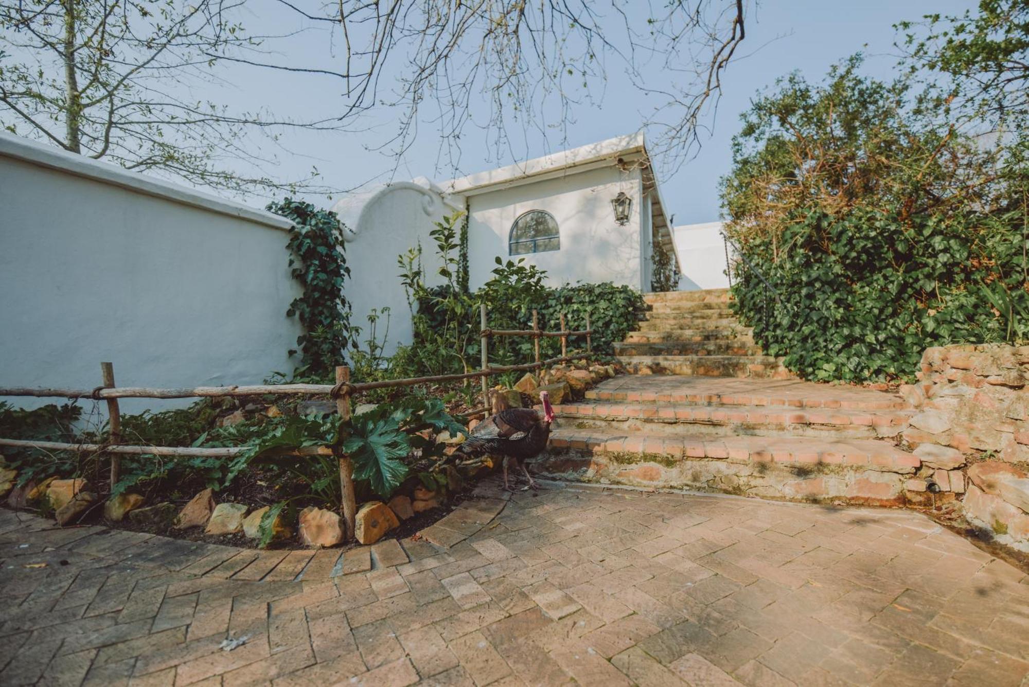 San Gabriel Homestead サマーセット・ウェスト エクステリア 写真
